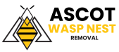 Ascot Wasp Nest Removal